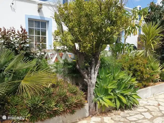 gîte / cottage huren in Portugal, Algarve, Santa Catarina da Fonte do Bispo – Casa Catarina Een blik richting het huis