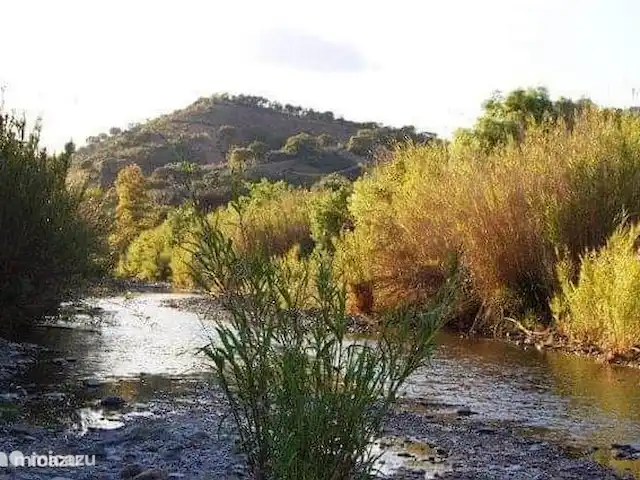 gîte / cottage huren in Portugal, Algarve, Santa Catarina da Fonte do Bispo – Casa Catarina De rivier vlakbij