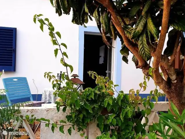 gîte / cottage huren in Portugal, Algarve, Santa Catarina da Fonte do Bispo – Casa Catarina Tuin