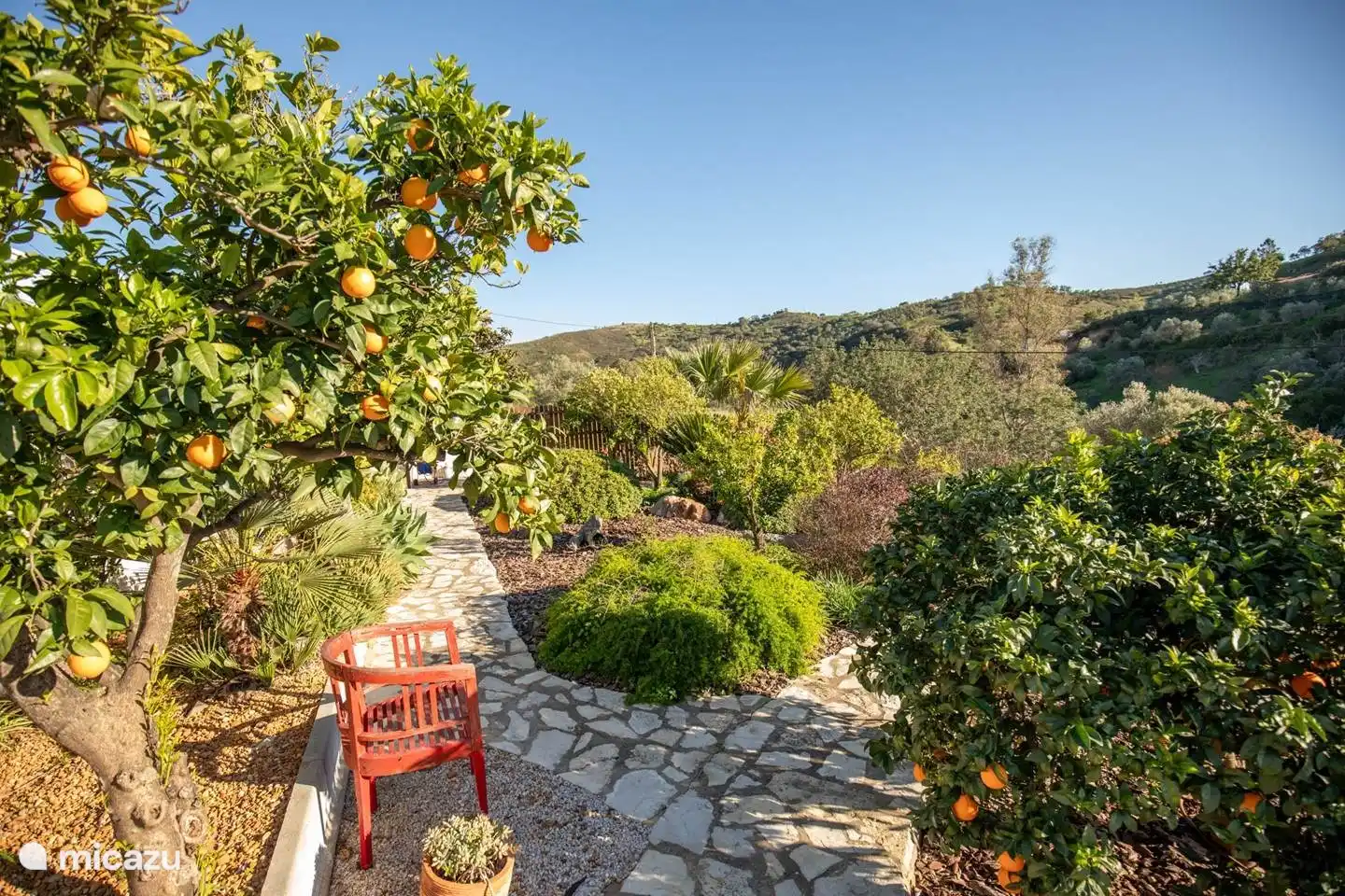 Zin in een lekkere sappige sinaasappel?