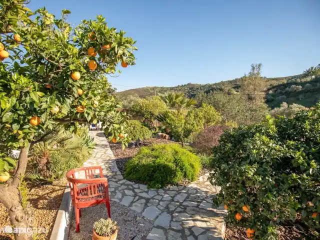 gîte / cottage huren in Portugal, Algarve, Santa Catarina da Fonte do Bispo – Casa Catarina Zin in een lekkere sappige sinaasappel?