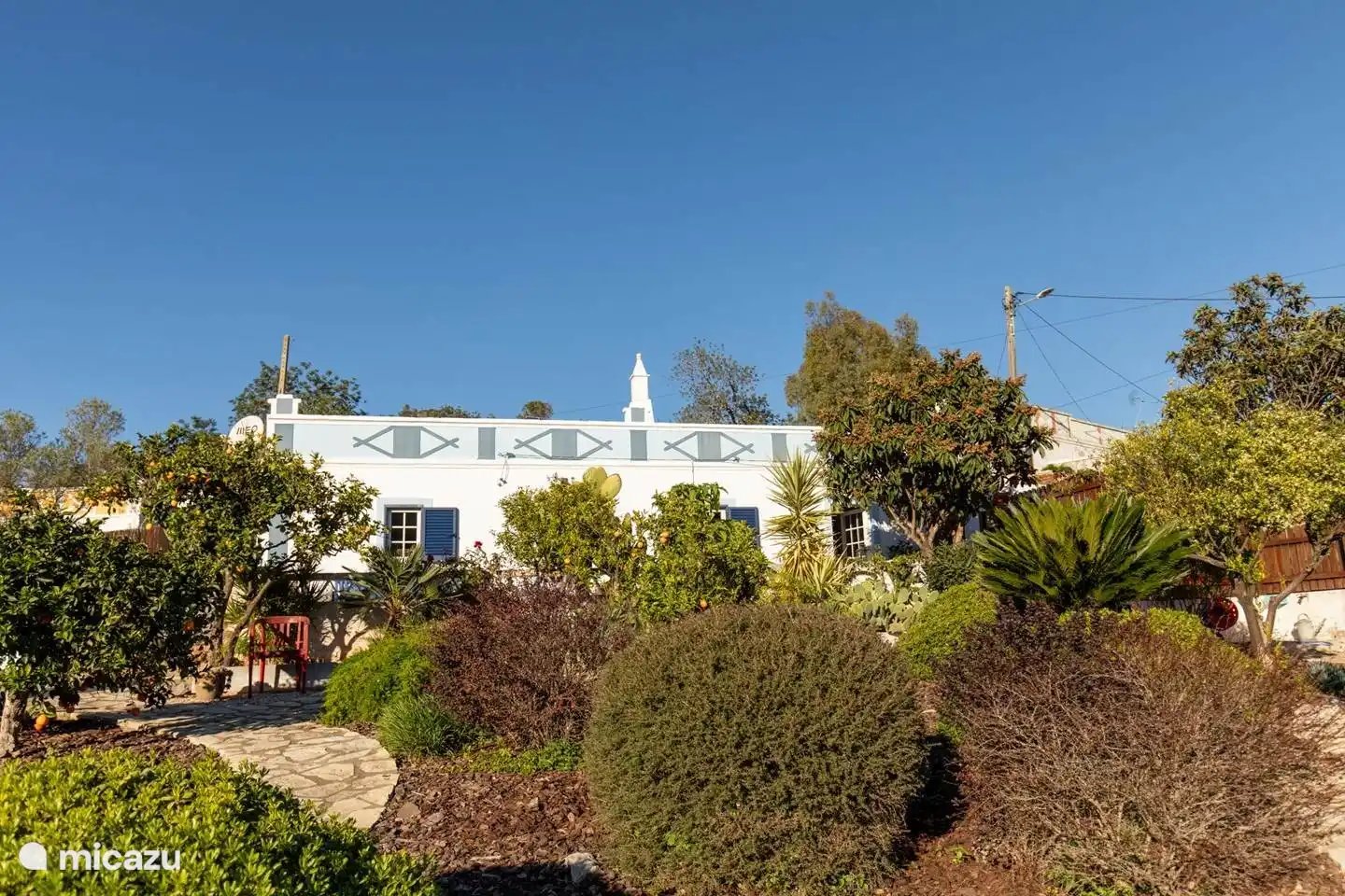 Een tuin gekust door de zon