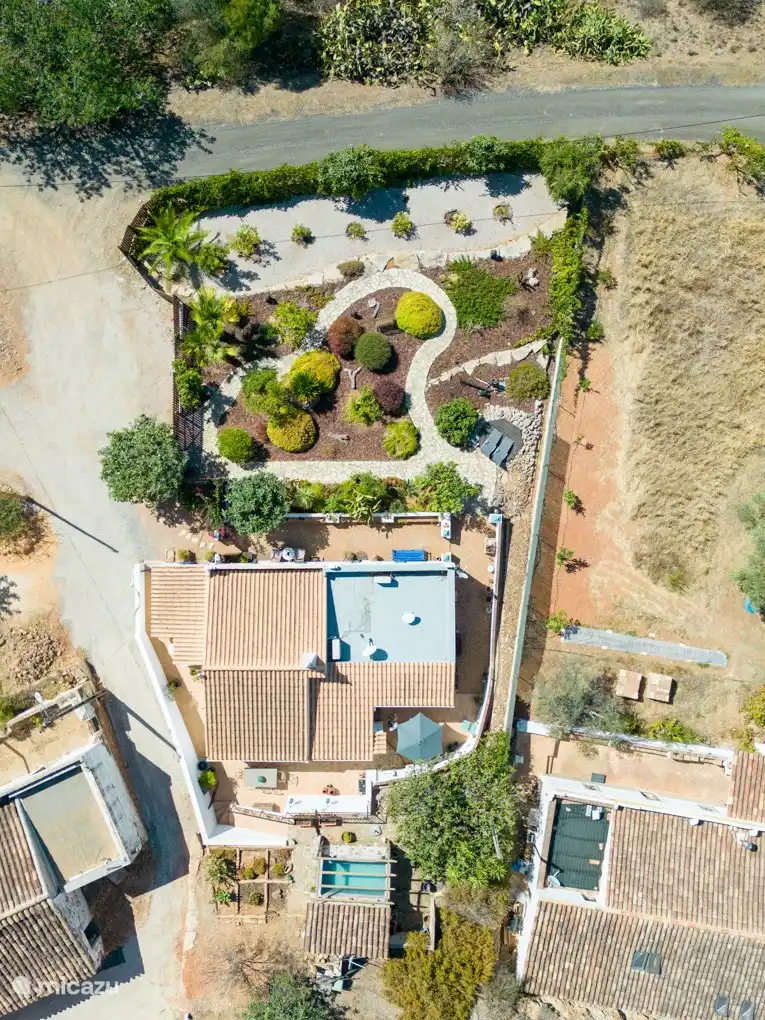 De mening van het arendsoog