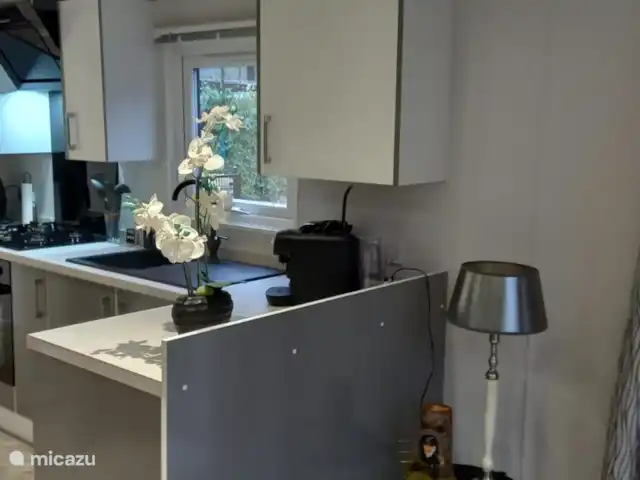 Blissful huren in Nederland, Gelderland, Hoenderloo - chalet keuken met airfryer