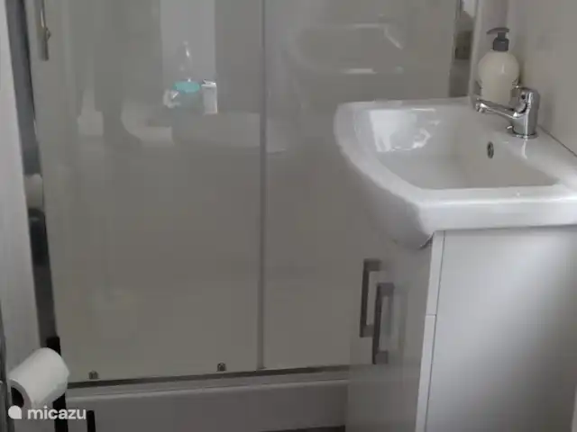 Blissful huren in Nederland, Gelderland, Hoenderloo - chalet badkamer