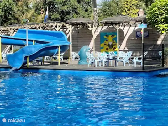 Blissful huren in Nederland, Gelderland, Hoenderloo - chalet Zwembad