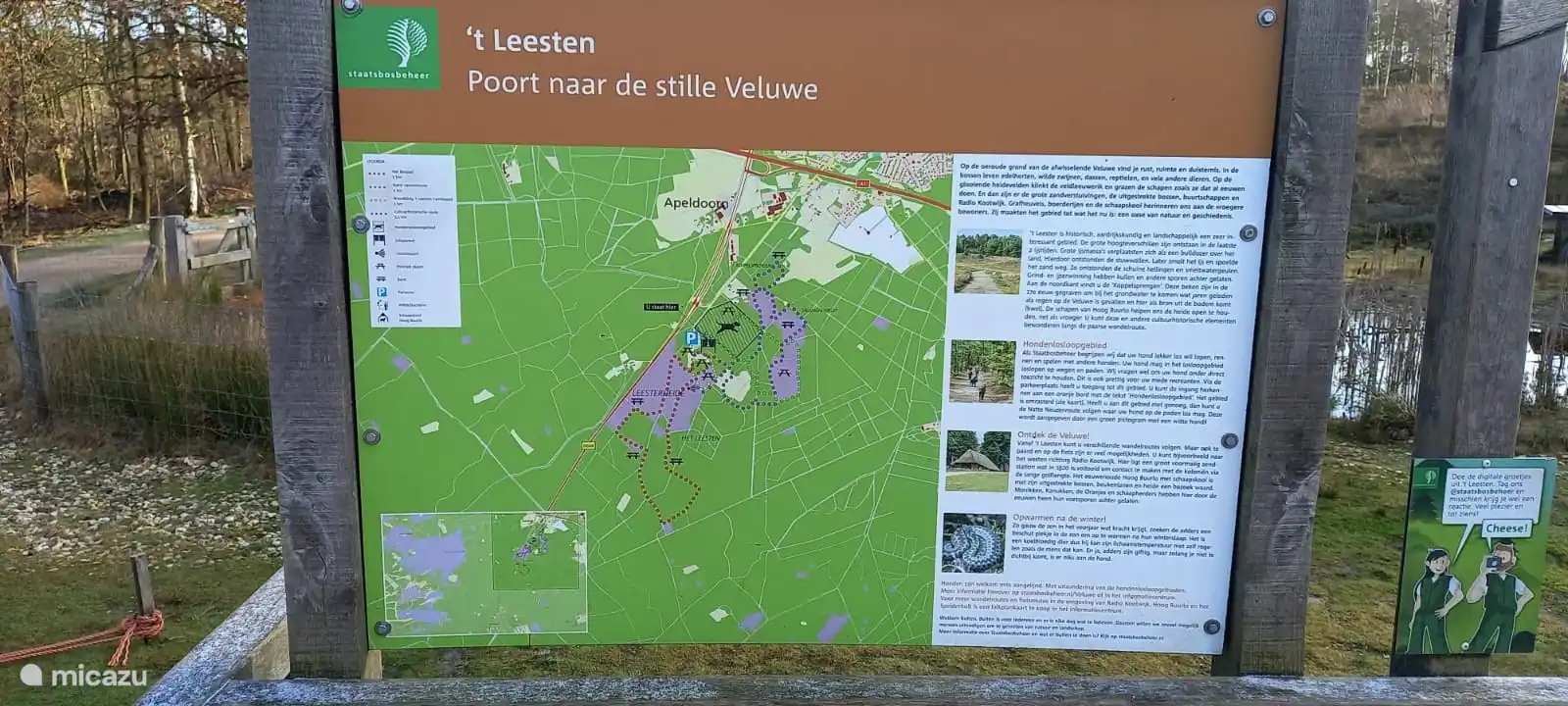 In the T Leesten area