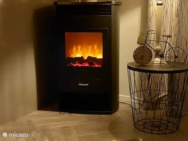 Blissful huren in Nederland, Gelderland, Hoenderloo - chalet Gezellige sfeer haard in huiskamer