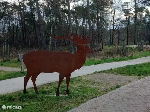 Blissful huren in Nederland, Gelderland, Hoenderloo - chalet T Leesten mooie wandelroutes