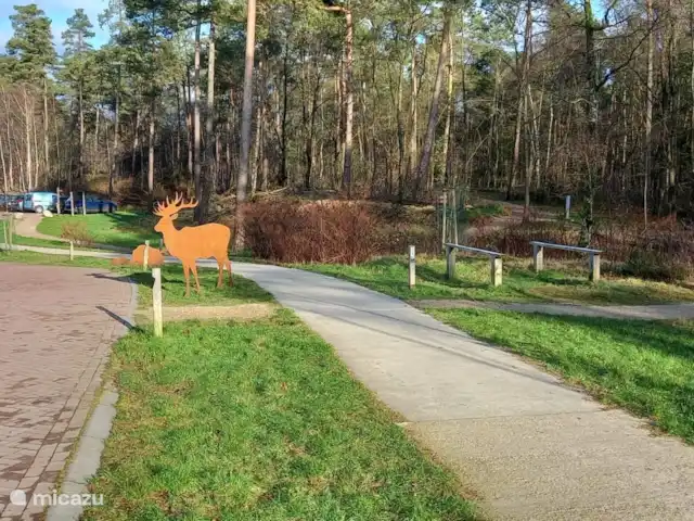 Blissful huren in Nederland, Gelderland, Hoenderloo - chalet T Leesten