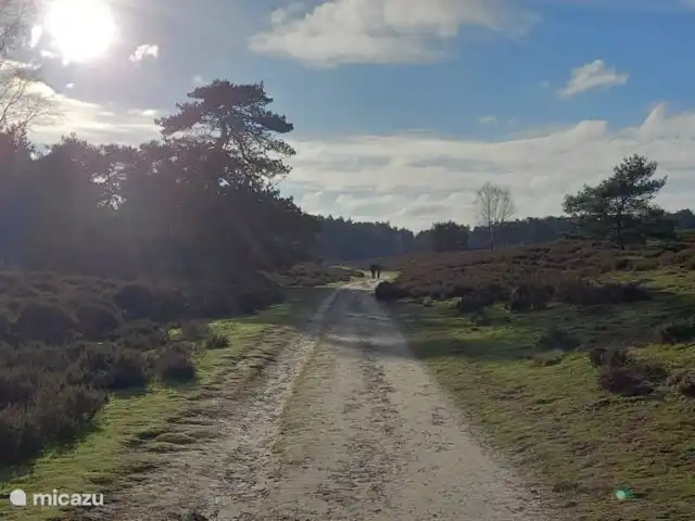 Blissful huren in Nederland, Gelderland, Hoenderloo - chalet T Leesten