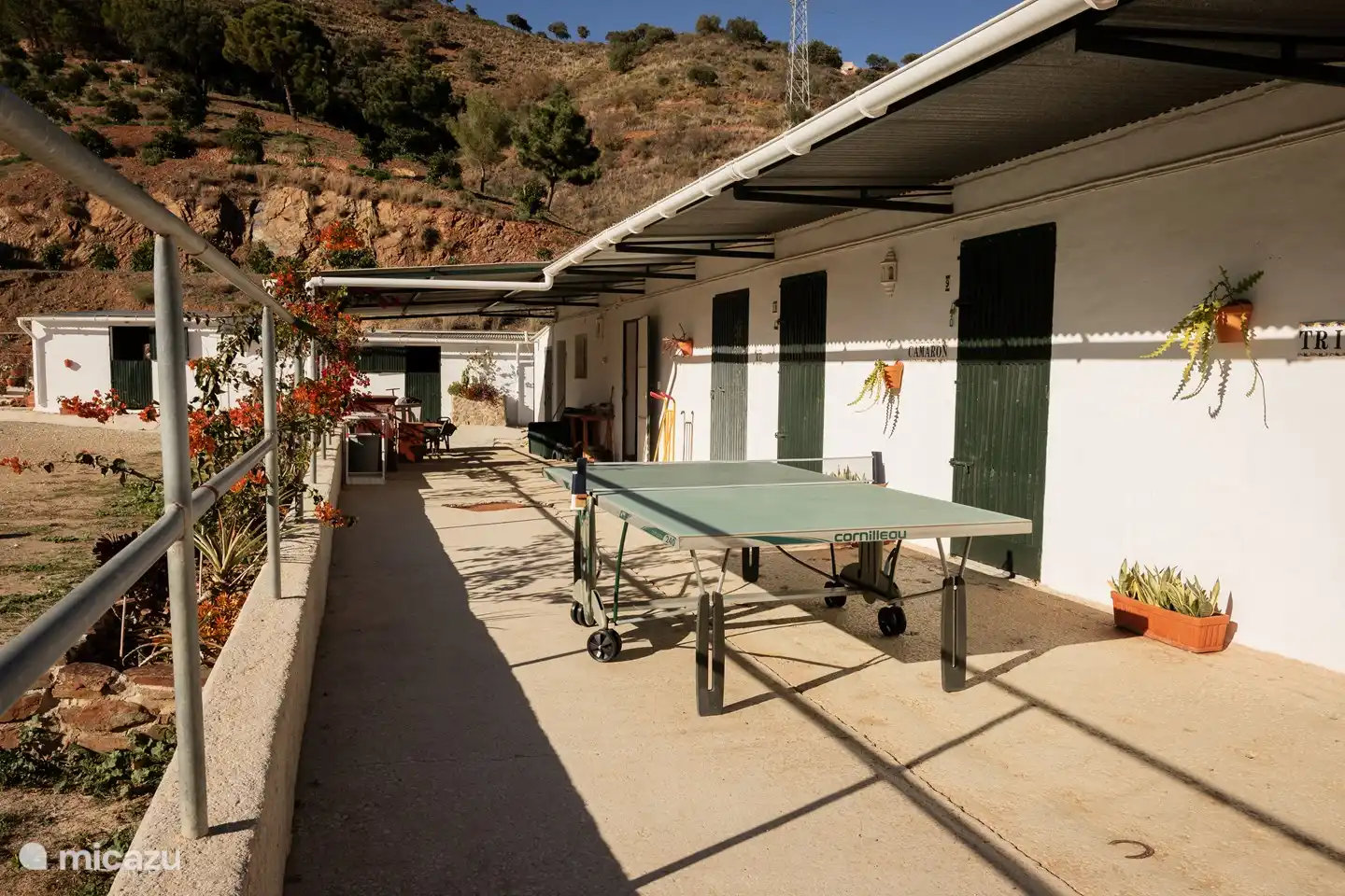 Puedes jugar al ping-pong frente a los establos de caballos.