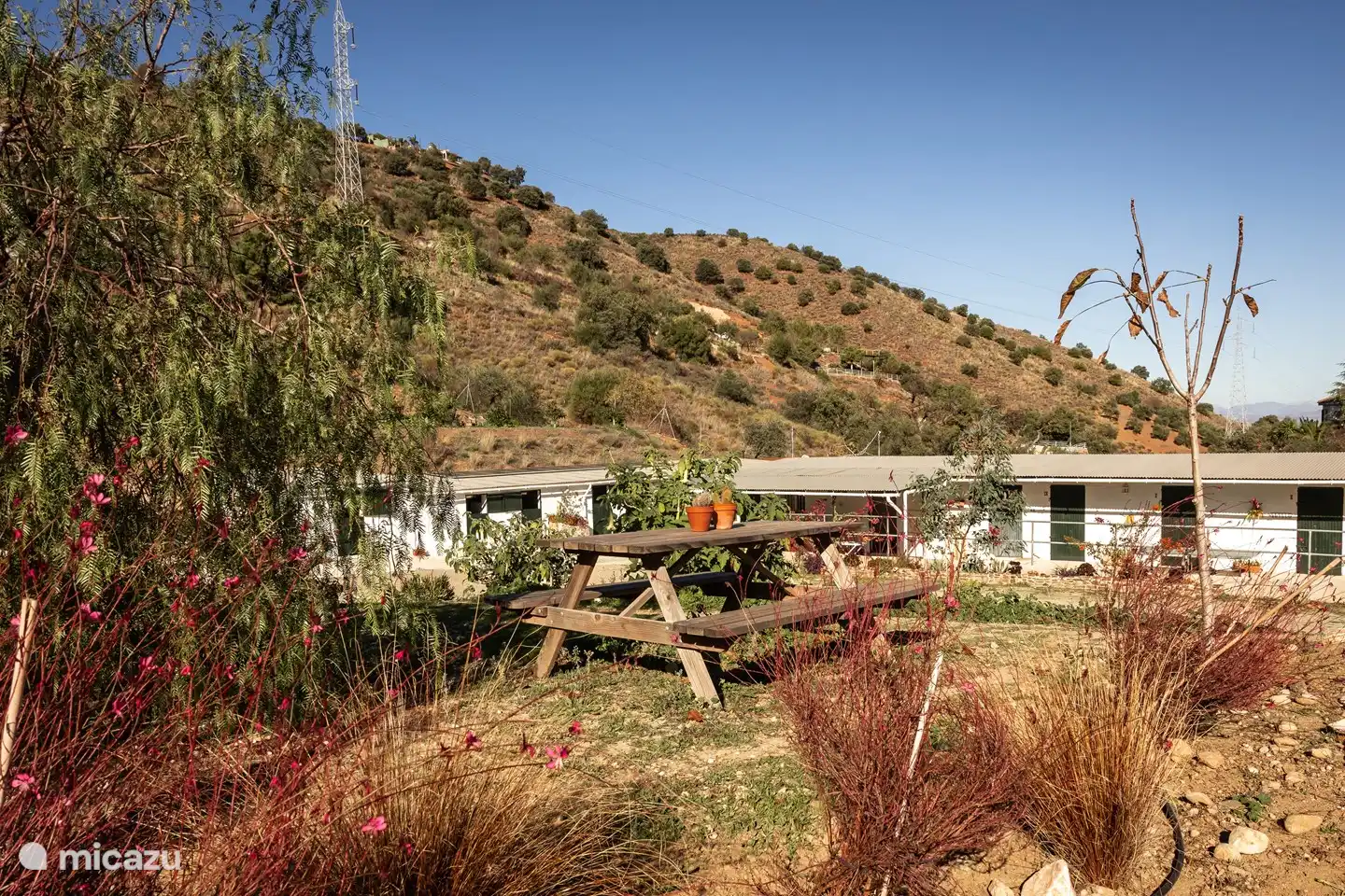 Al lado de la pista de petanca podrás sentarte en la mesa de picnic.
