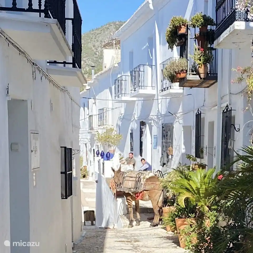 Nuestro precioso y autentico pueblo de Monda