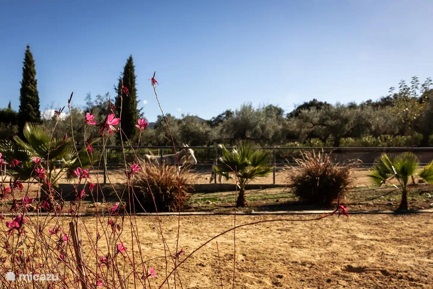 Simplemente una hermosa foto