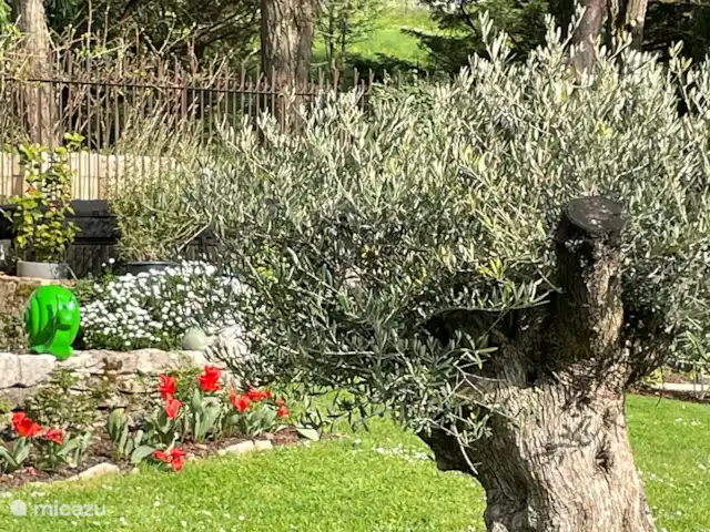 gîte / cottage huren in Frankrijk, Bourgogne, Curtil-Vergy – L’Instant Feltré alleen voor volwassenen De tuin