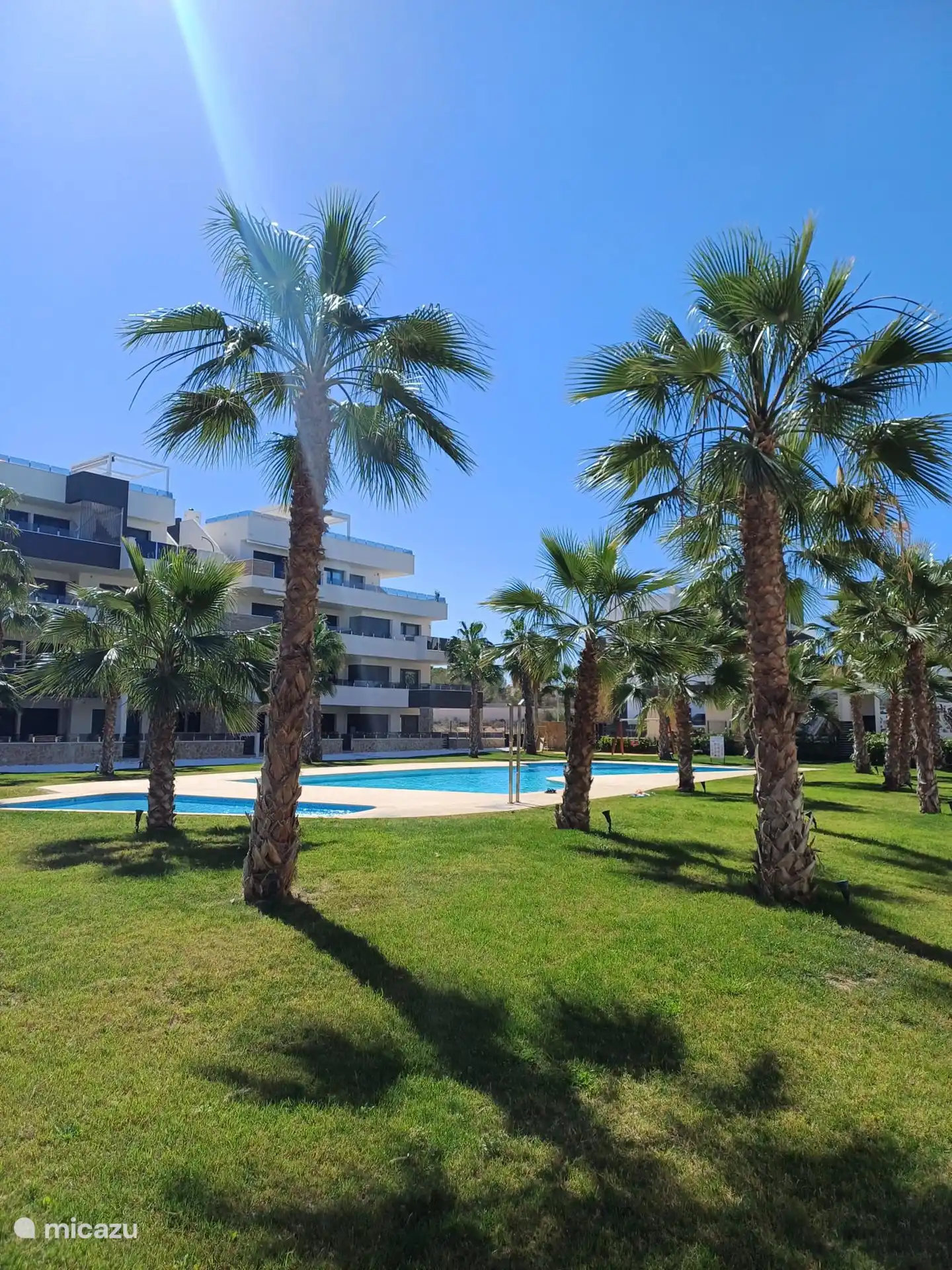 Belle palmeraie et bel éclairage le soir.