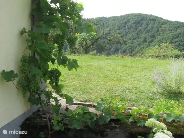 Patersberg en Alemania, Renania-Palatinado, Patersberg - casa vacacional Vista de la Schweitzer tal. Esto se llama así porque es muy empinado. Detrás de la colina se encuentra el Loreley.