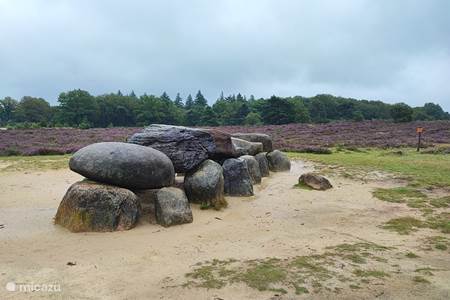 Tip to visit: The Dolmens of Havelte