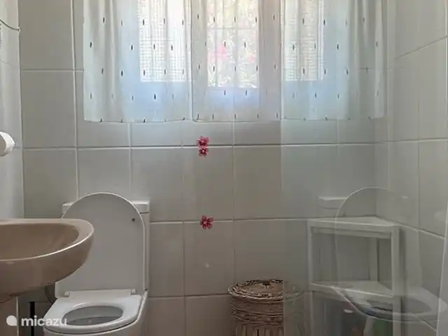 casa de nosotros en España, Andalucía, Canillas de Aceituno - villa Baño de abajo con inodoro, ducha y lavabo.