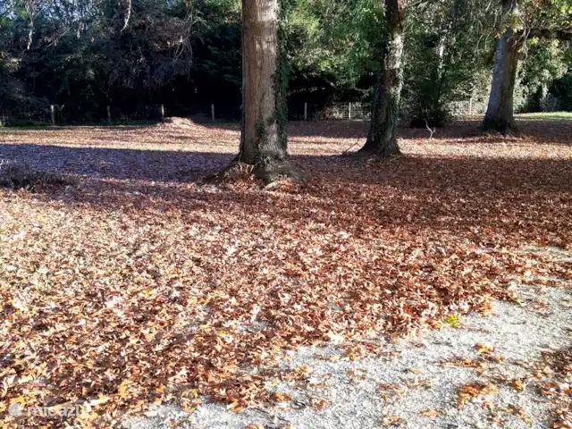 Villa Raunel huren in Frankrijk, Dordogne, Monplaisant - villa Les feuilles d'automne