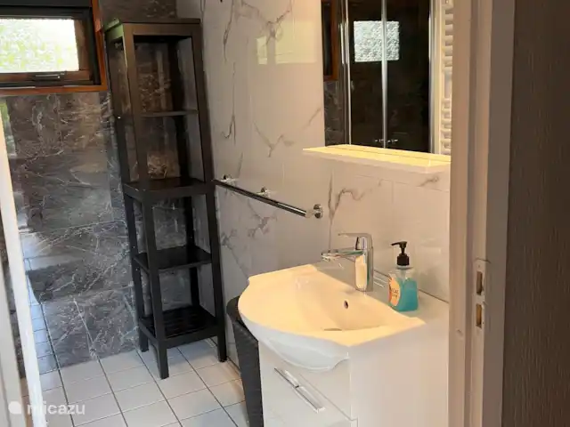 Veluwe Park Reewold Chalet Talisman huren in Nederland, Gelderland, Putten - chalet Nieuwe badkamer