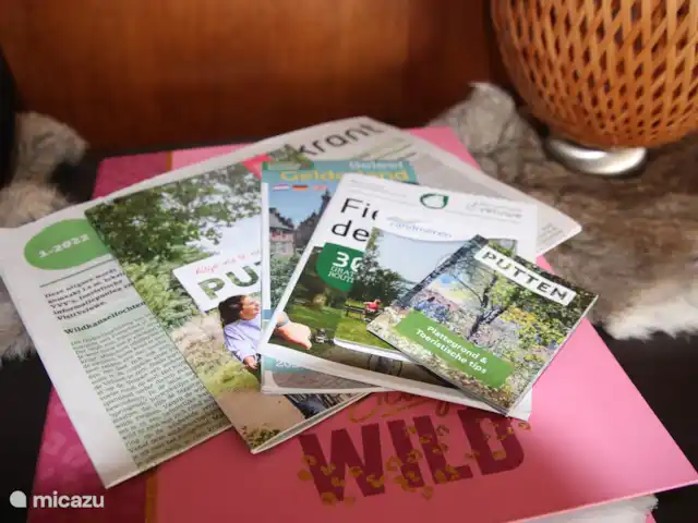 Veluwe Park Reewold Chalet Talisman huren in Nederland, Gelderland, Putten - chalet informatie folders over de veluwe