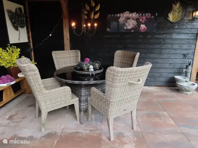 Veluwe Park Reewold Chalet Talisman huren in Nederland, Gelderland, Putten - chalet overkapping