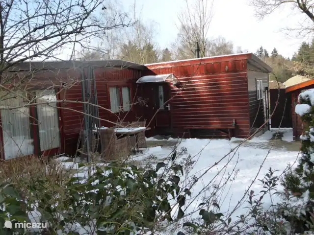 Veluwe Park Reewold Chalet Talisman huren in Nederland, Gelderland, Putten - chalet voortuin in de sneeuw