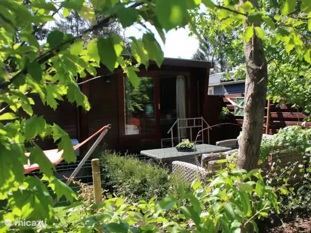 Veluwe Park Reewold Chalet Talisman huren in Nederland, Gelderland, Putten - chalet achtertuin