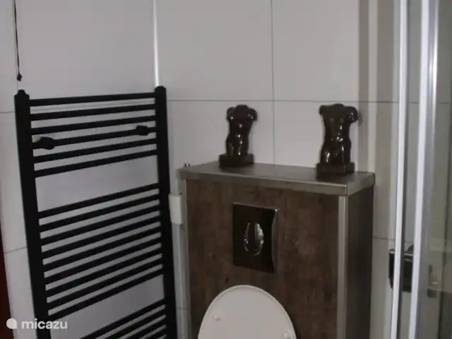 Veluwe Park Reewold Chalet Visión en Países Bajos, Güeldres, Putten - chalet cuarto de baño con ducha y lavabo, muebles y aseo