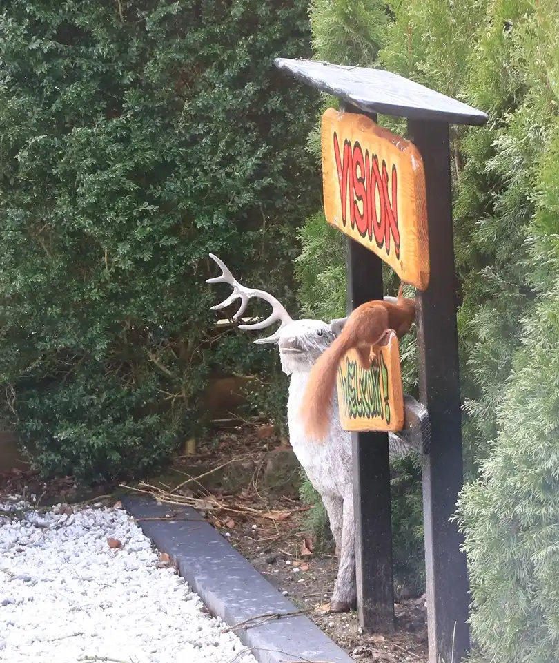 1 unserer Eichhörnchen aus dem Park