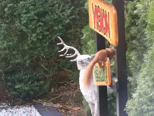 Veluwe Park Reewold Chalet Visión en Países Bajos, Güeldres, Putten - chalet 1 de nuestras ardillas del parque