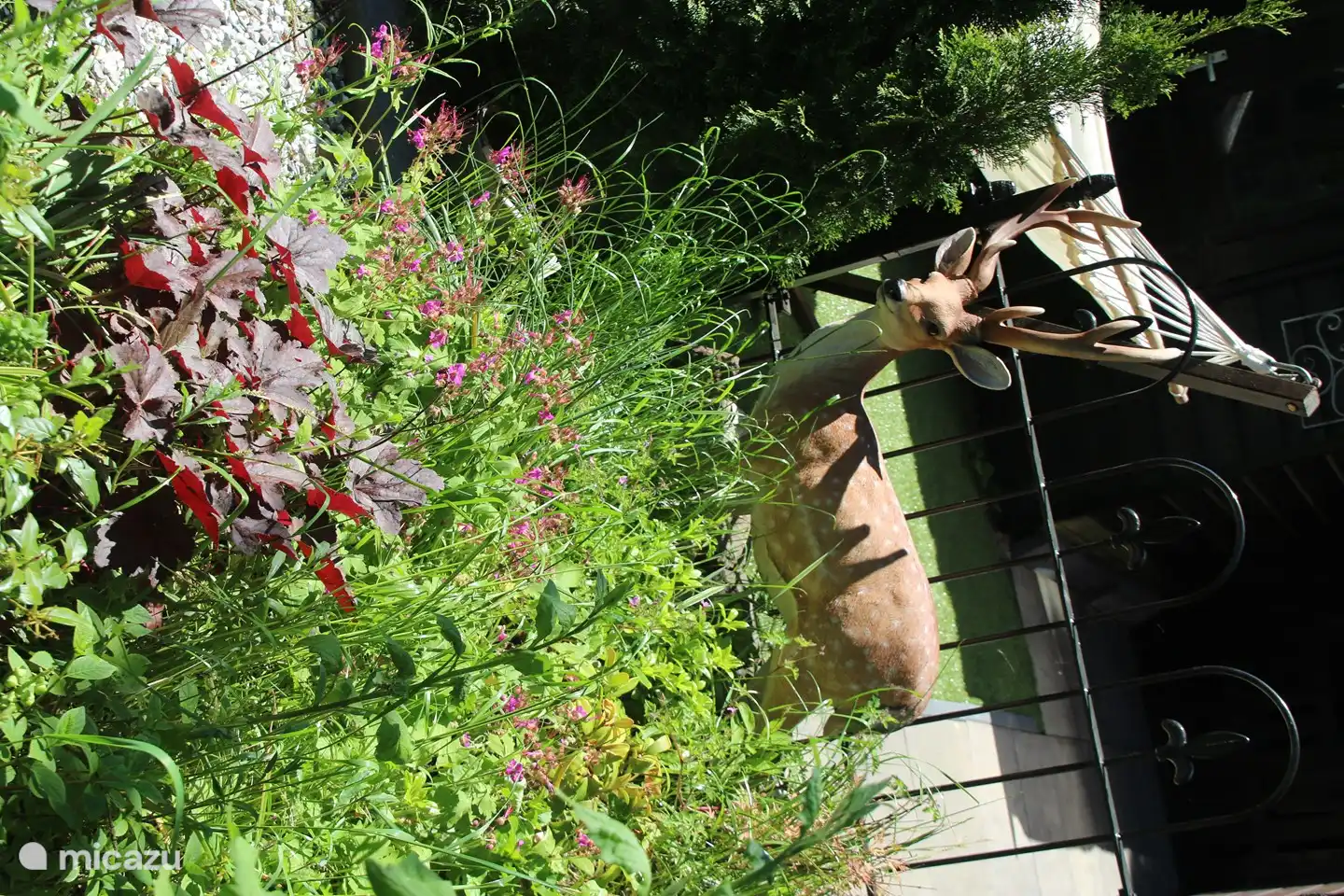 Auch der Garten ist schön dekoriert
