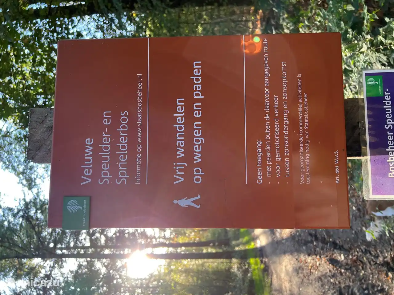 Viele Wanderwege in der Veluwe, auch mit dem Hund