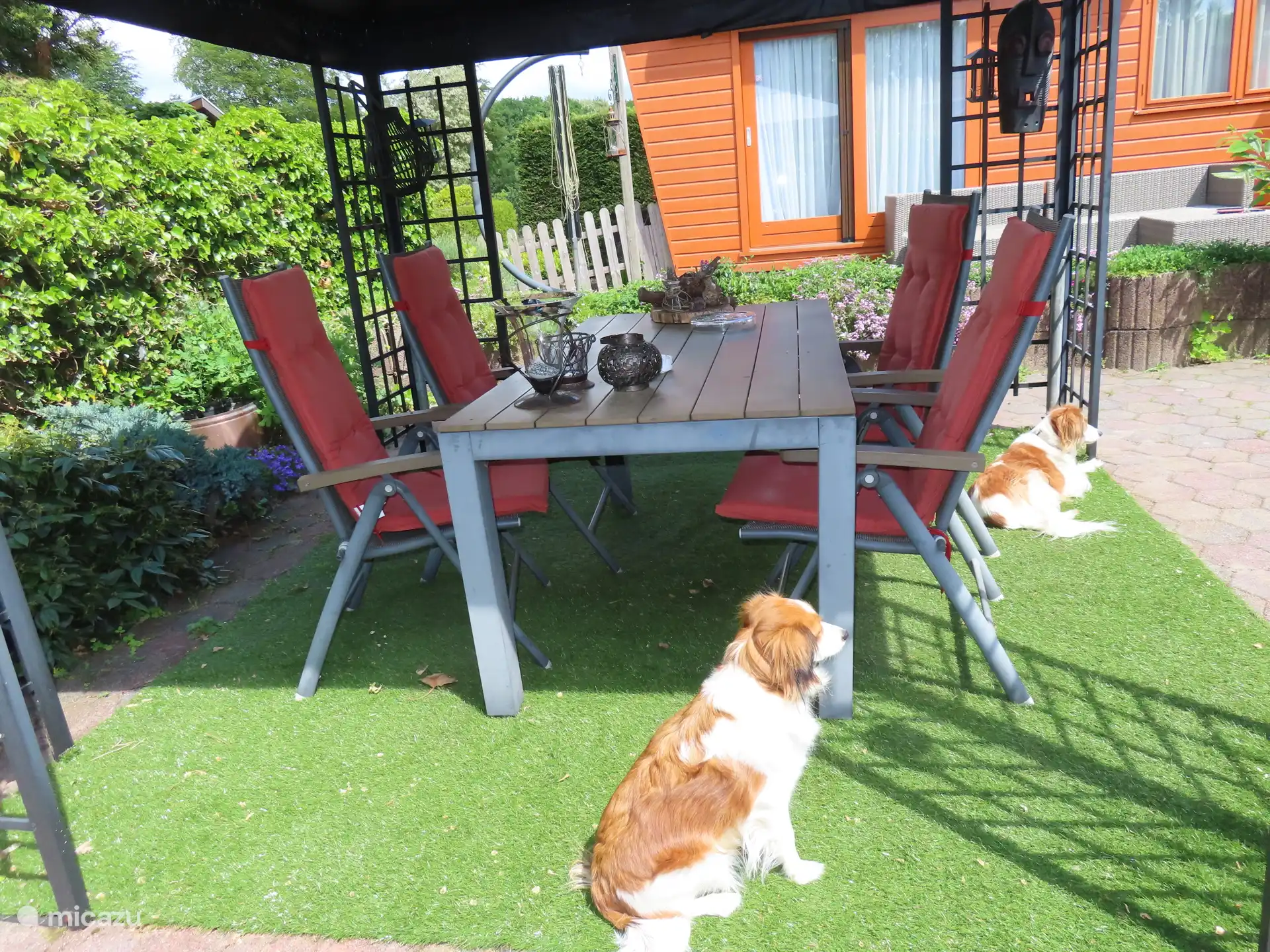 Haustiere sind ebenfalls willkommen 