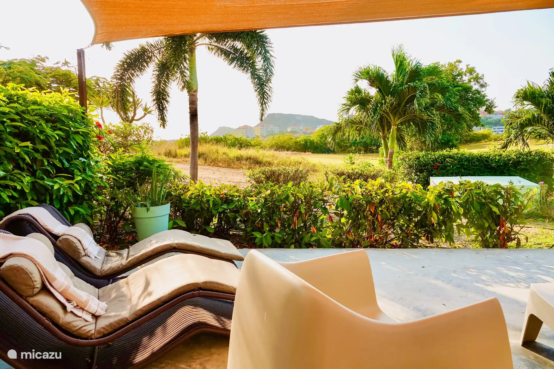 View from the terrace