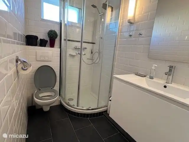 Jonquilles 112 | France, Charente, Écuras - maison de vacances Salle de bain soignée avec lavabo et toilettes