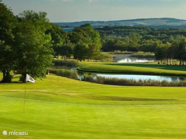 Jonquilles 112 | France, Charente, Écuras - maison de vacances Belle nature