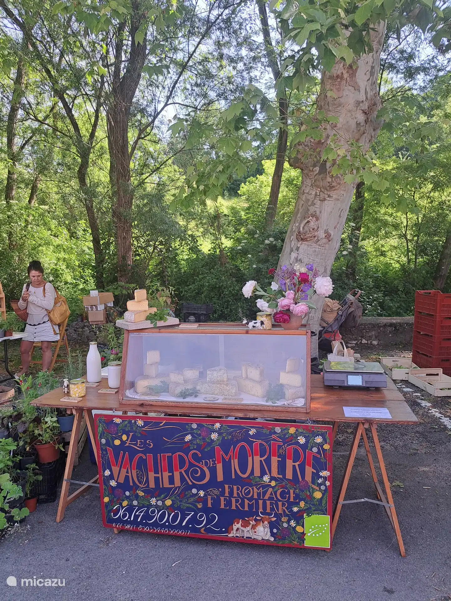 &#191;Amante del queso? Te sorprender&#225;n los mercados en particular. Y por supuesto que puedes saborear. 