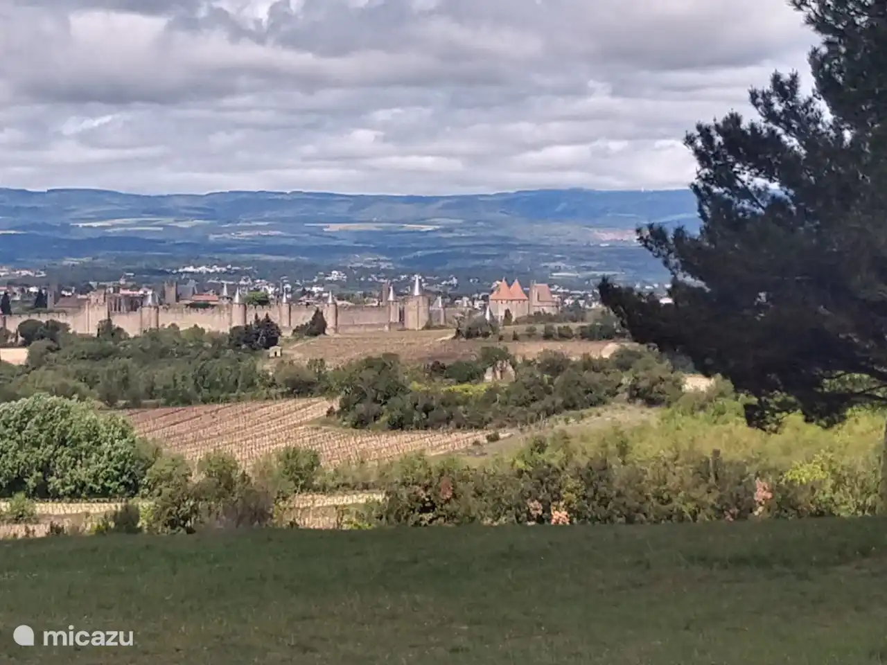 A lo lejos se pueden ver las murallas de la antigua ciudad de Carcasonne.