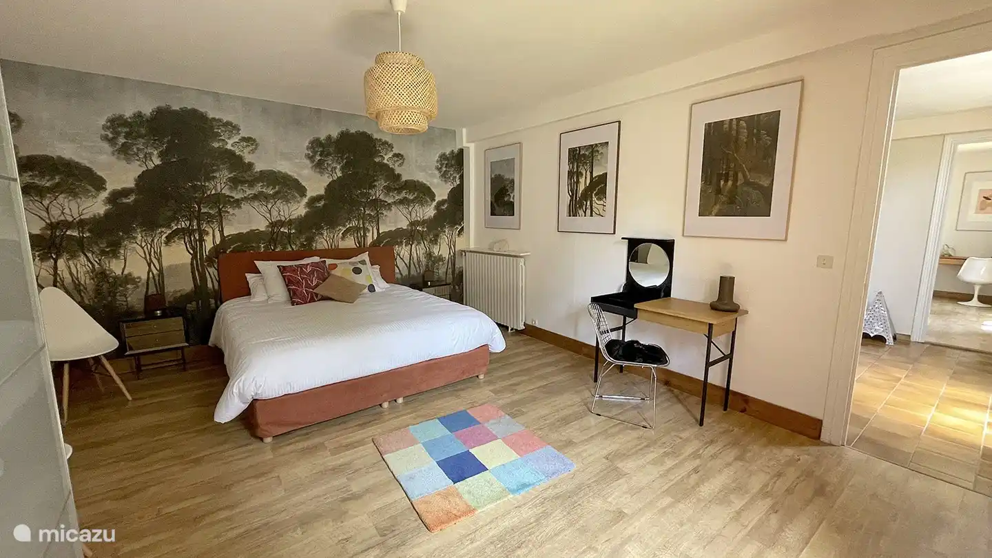 Grote kamer. Kingsize bed.