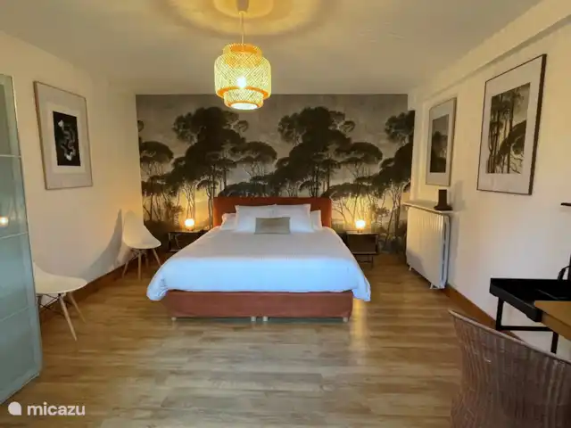 Villa dans village typique Dordogne | France, Dordogne, Trémolat - villa Grande chambre. Lit king size.