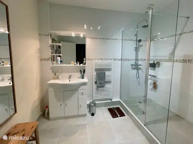 Villa dans village typique Dordogne | France, Dordogne, Trémolat - villa Salle d'eau avec grande douche