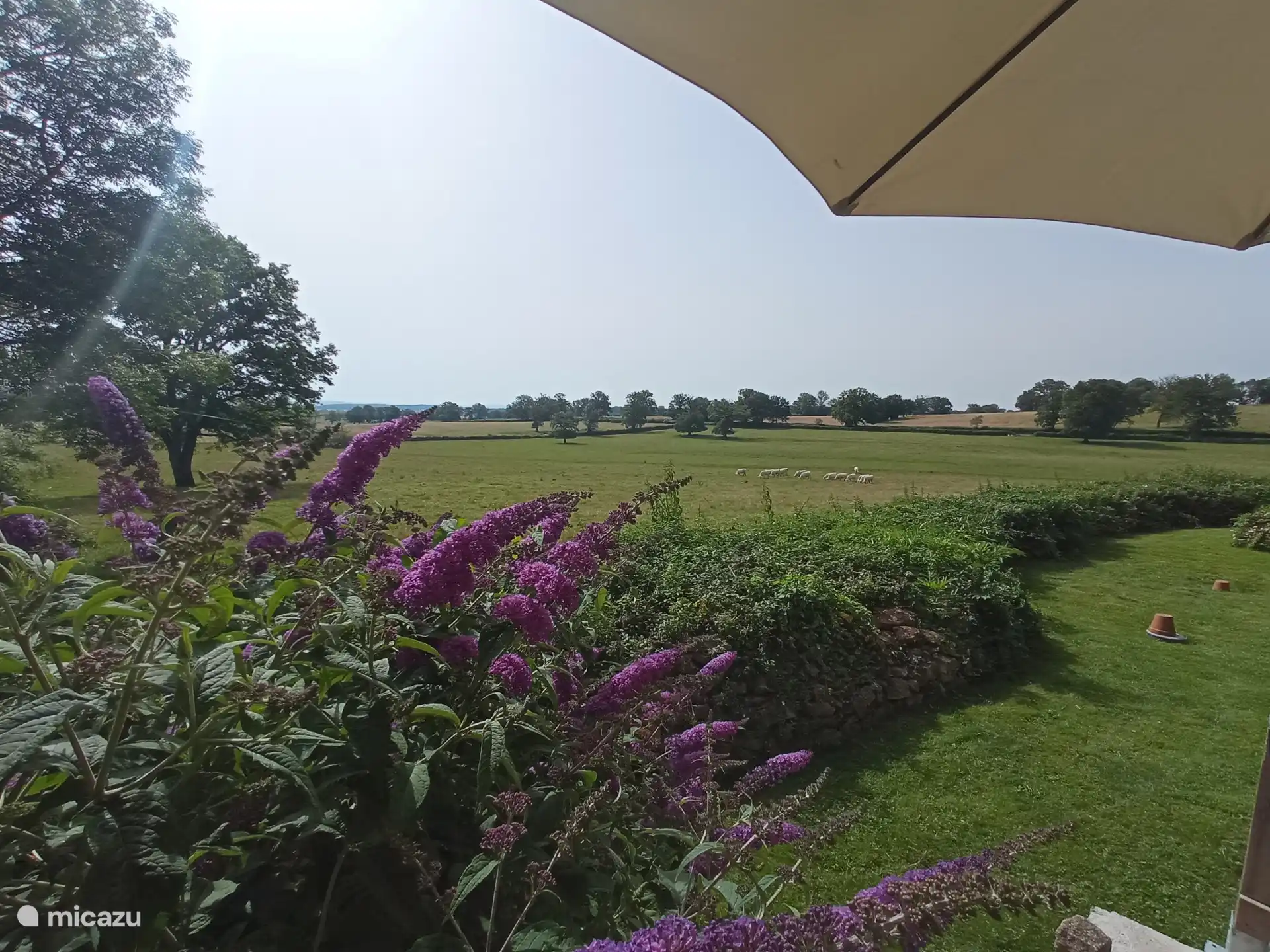 Blick von der Terrasse