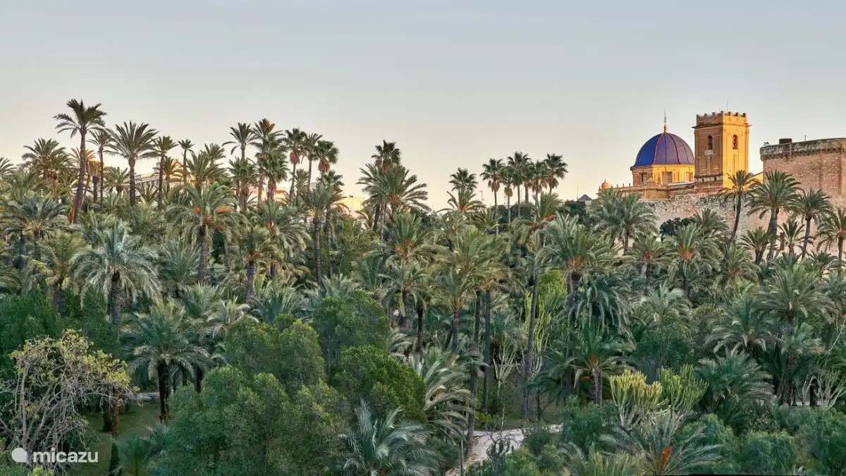 El Palmeral (Elche).