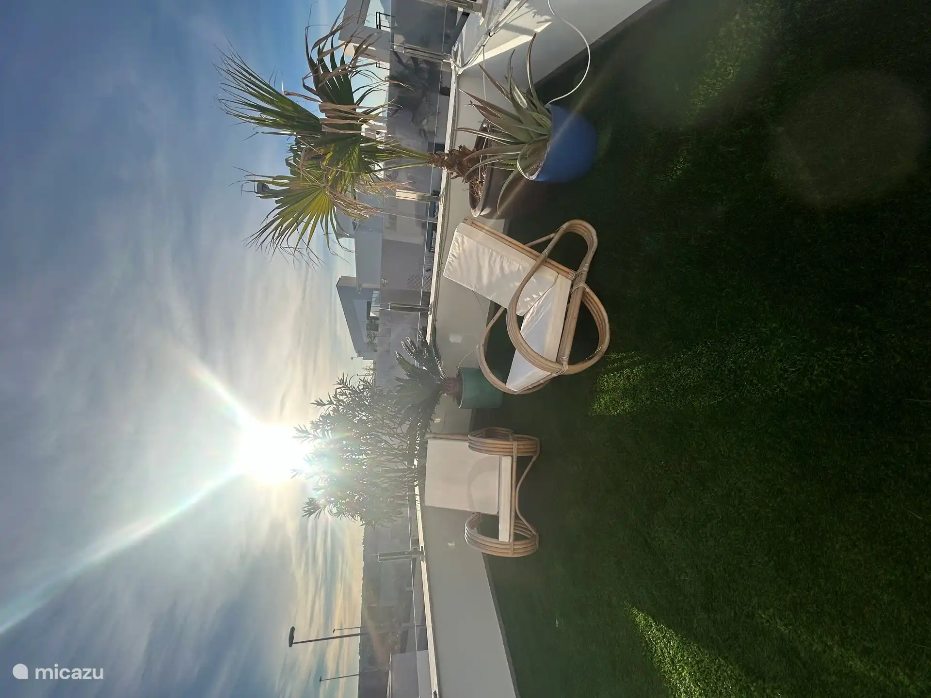 Großer Balkon mit tropischen Pflanzen.