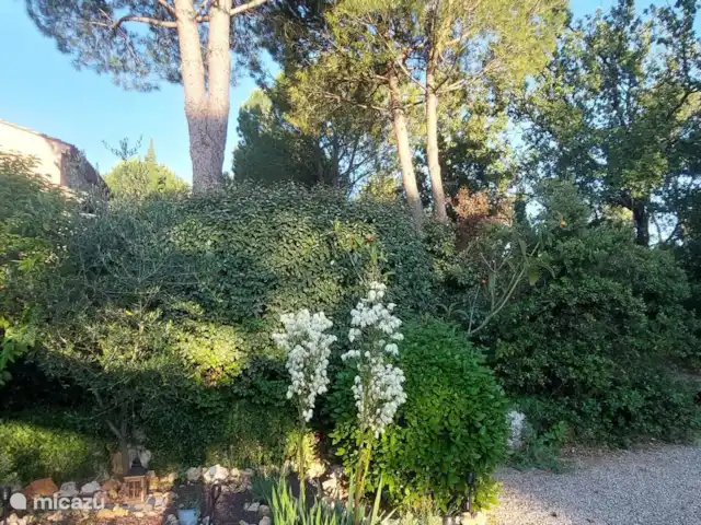 Revé d'Azur en Francia, Var, Nans-les-Pins - casa vacacional Vista nocturna en el jardín
