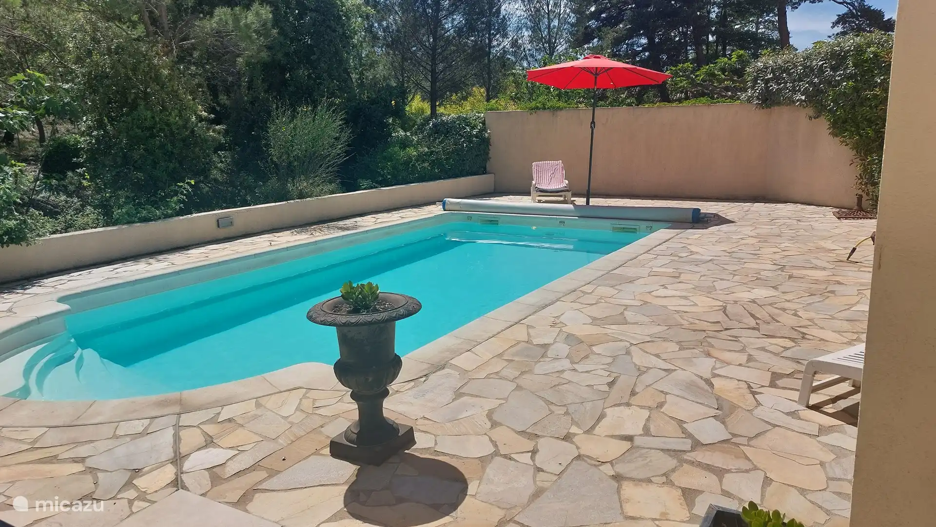 have fun in the private pool 