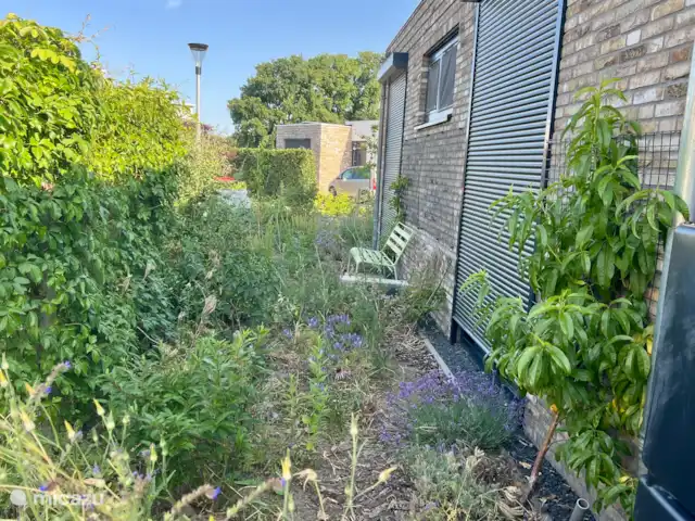 Vista del prado en Países Bajos, Barbante Septentrional, Cromvoirt - bungaló Banco sol de la tarde